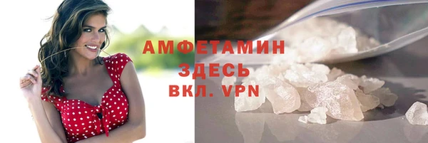 шишки Абаза