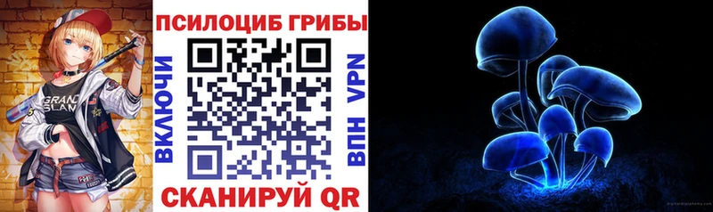 купить закладку  Канаш  Псилоцибиновые грибы ЛСД 