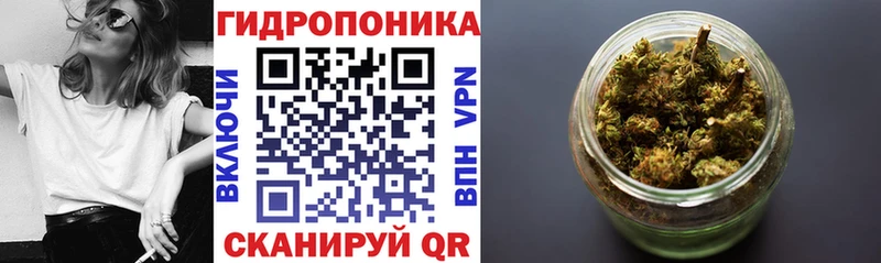 Канабис Ganja  Канаш 